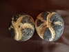 Mohnbrötchen