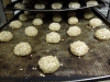 Vollkornbrötchen Rohlinge
